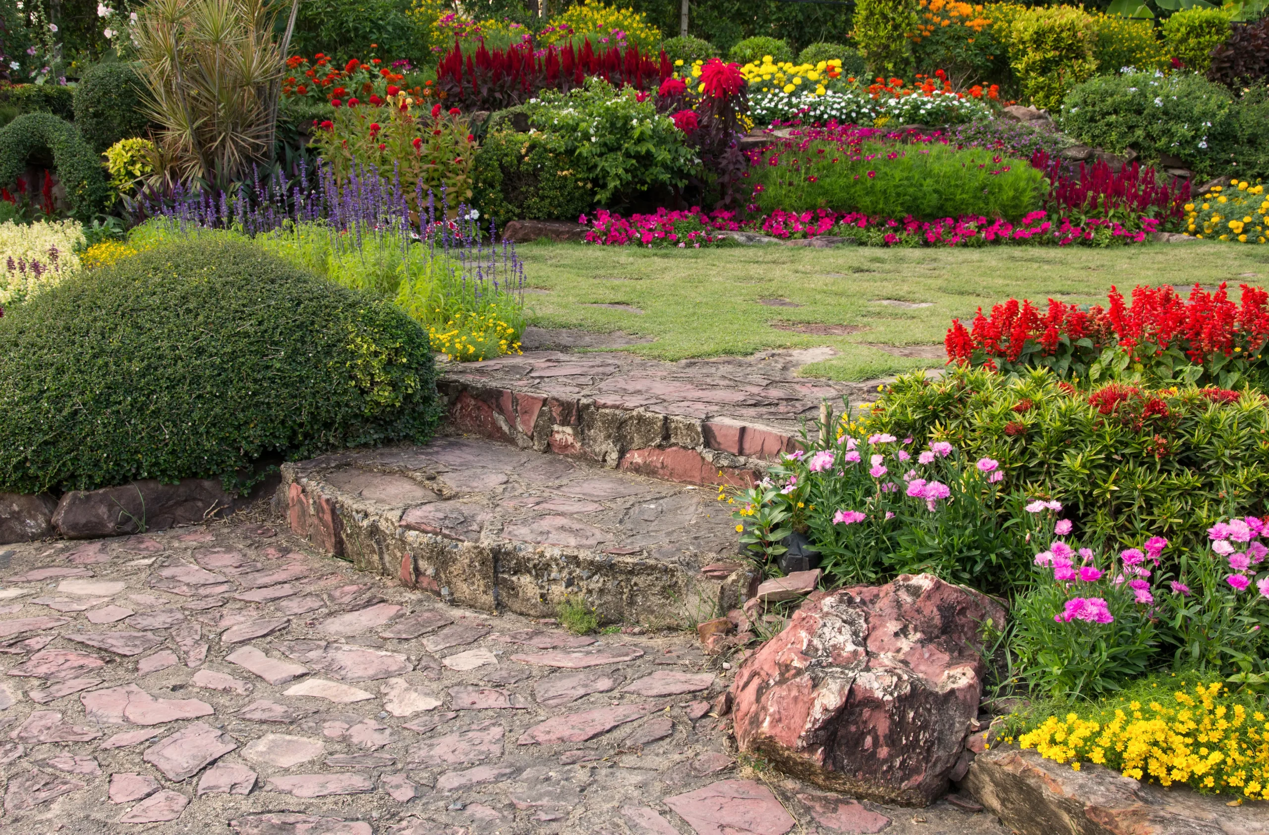 creation-jardin-salles-daude-espacevert11-baptiste-brandon