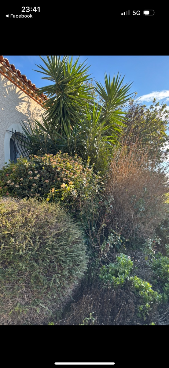 Jardinage