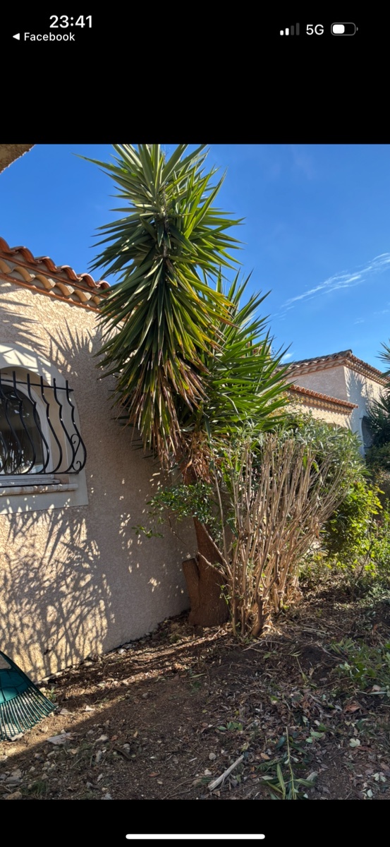 Jardinage  - Image 1
